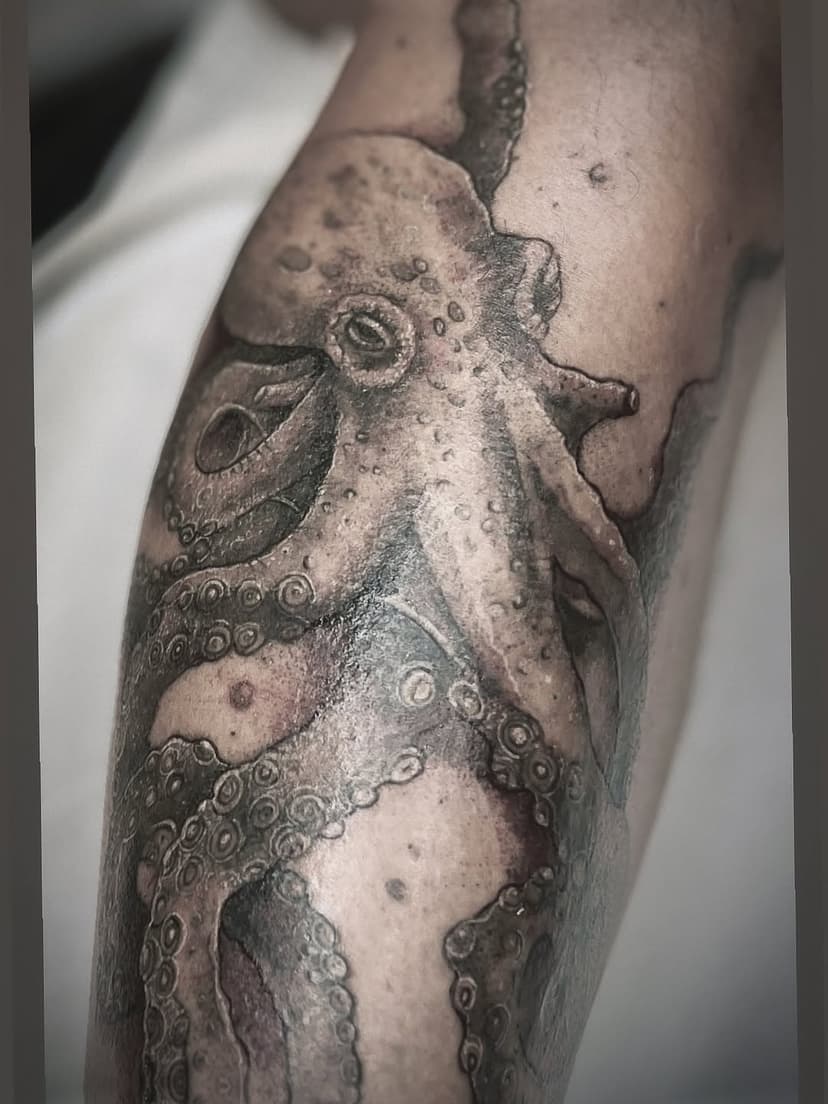 Tatouage de Blue Bird Tattoo