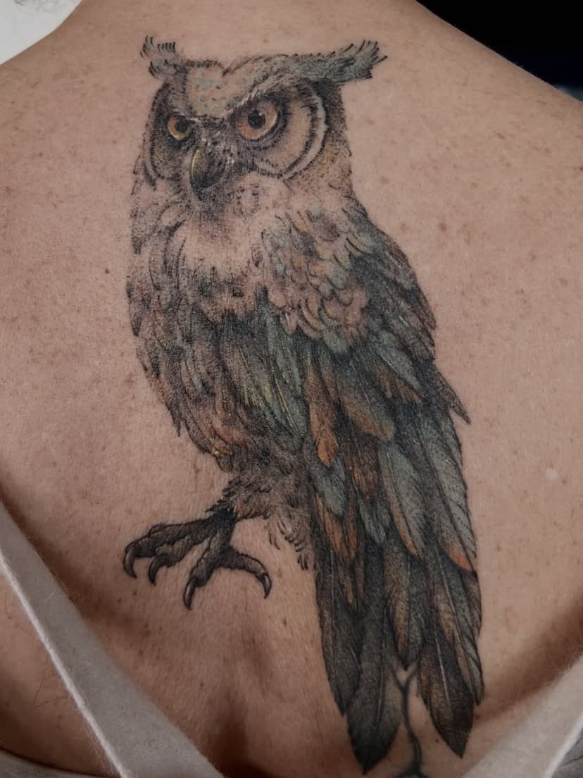 Tatouage de Blue Bird Tattoo