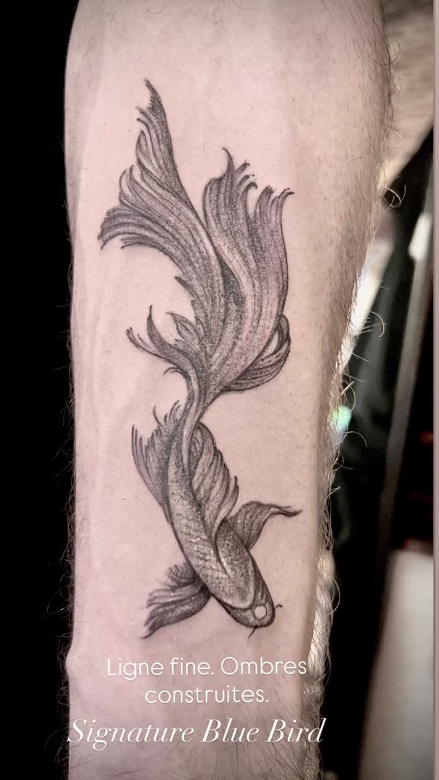 Tatouage de Blue Bird Tattoo