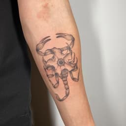 Pas Vu Pas Pris Tattooclub | Salon de Tatouage Marseille