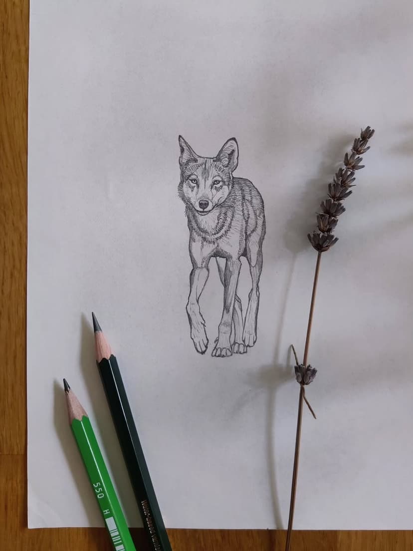 Tatouage de Transcendance Tattoo