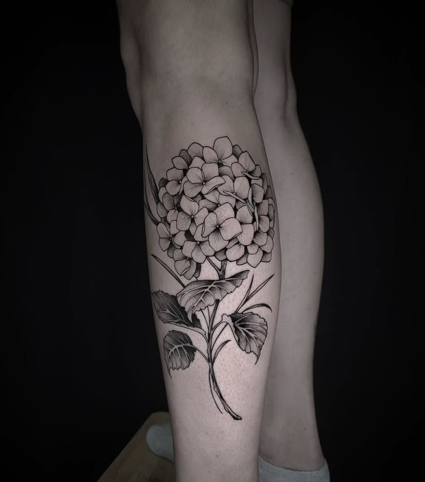 Tatouage de Berenice