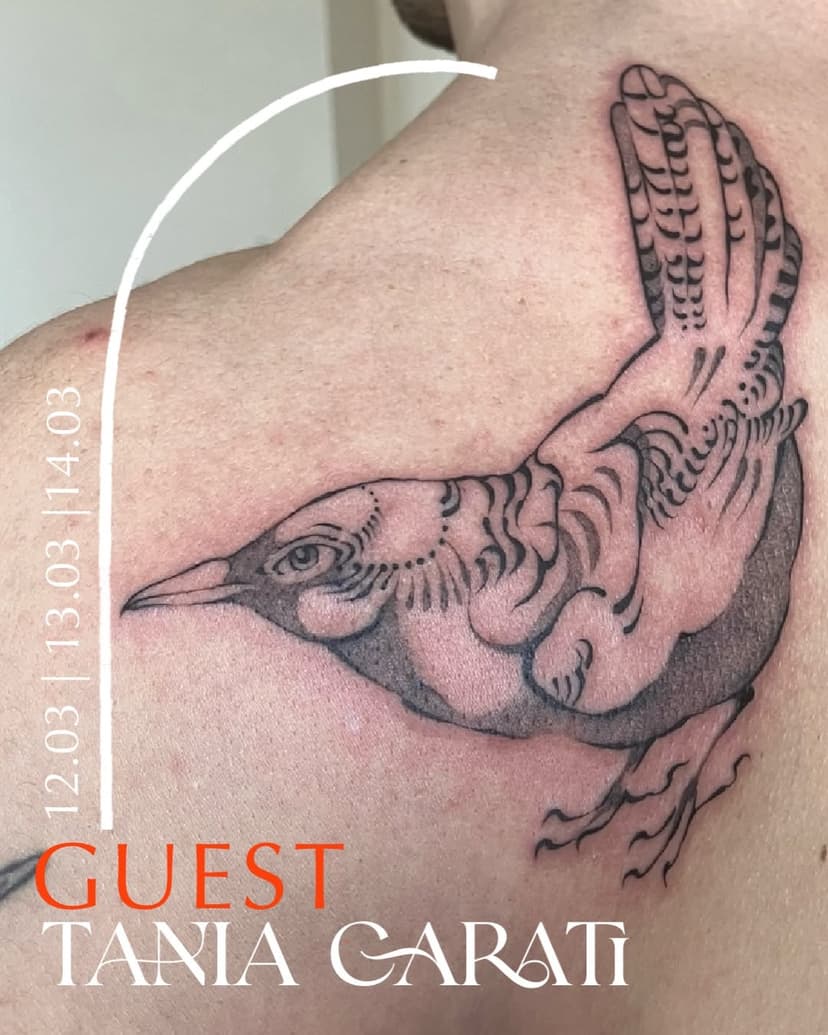 Tatouage de Sanguine | Atelier de Tatouage