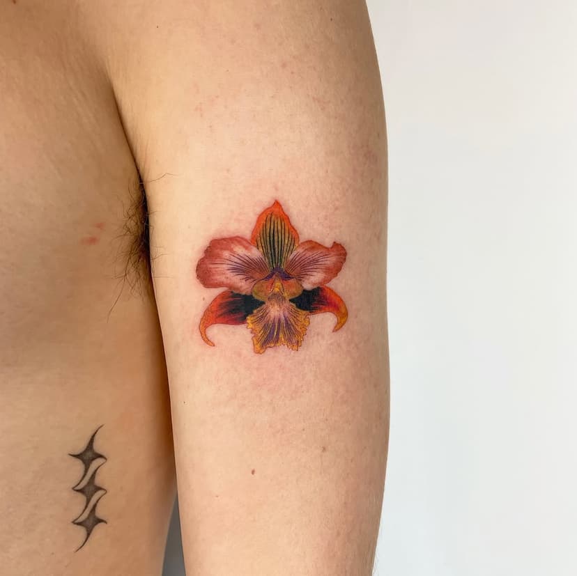 Tatouage de Epitomé Salon De Tatouage