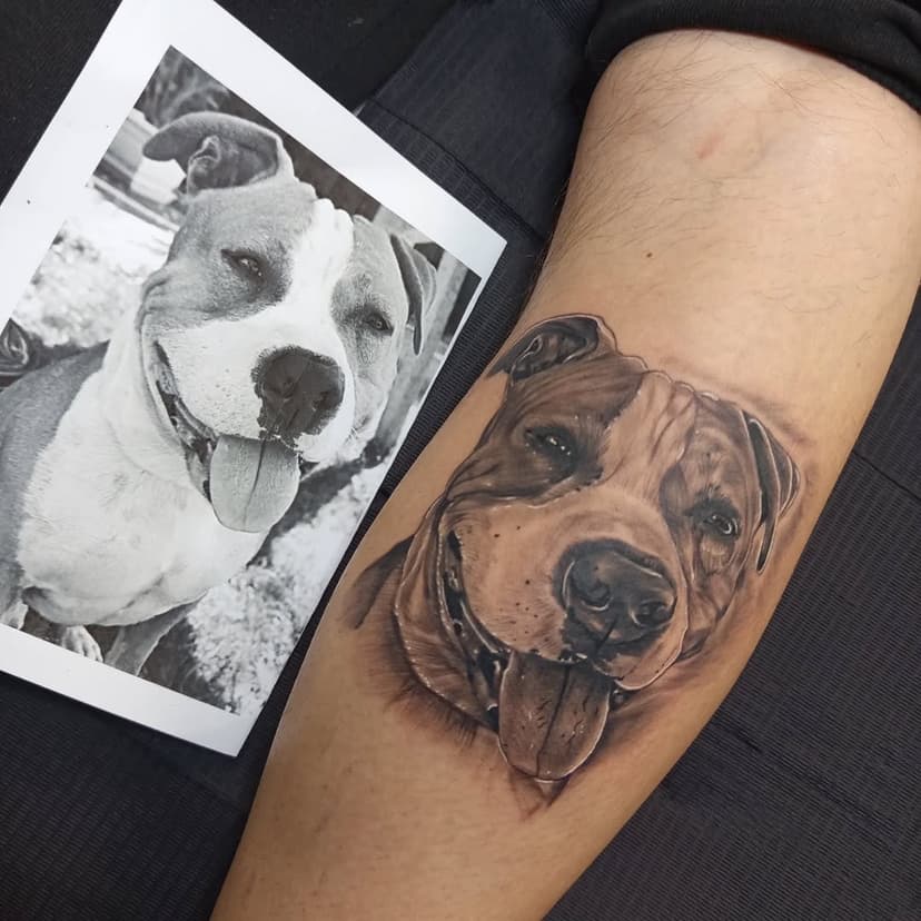 Tatouage de 116 Distr'ink