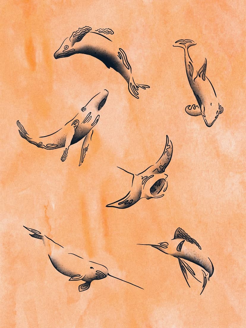 Tatouage de Solstice Tattoo