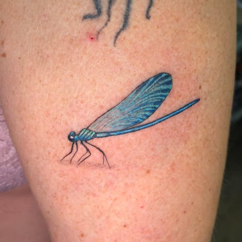 Tatouage de Encres et Tentacules