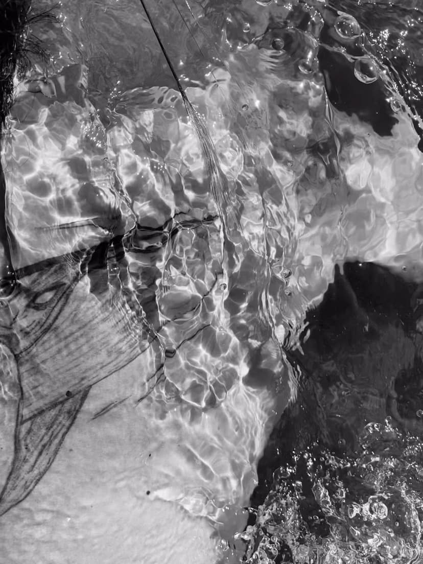 Tatouage de La Ruche Atelier Tatouage/L'Ourson Encreur