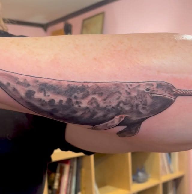 Tatouage de Ladybird Tattoo - Plan du Var