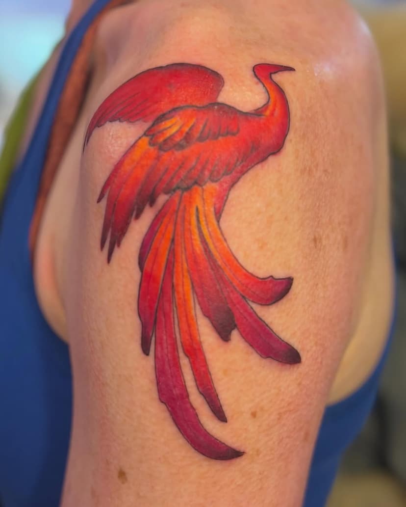 Tatouage de Ladybird Tattoo - Plan du Var