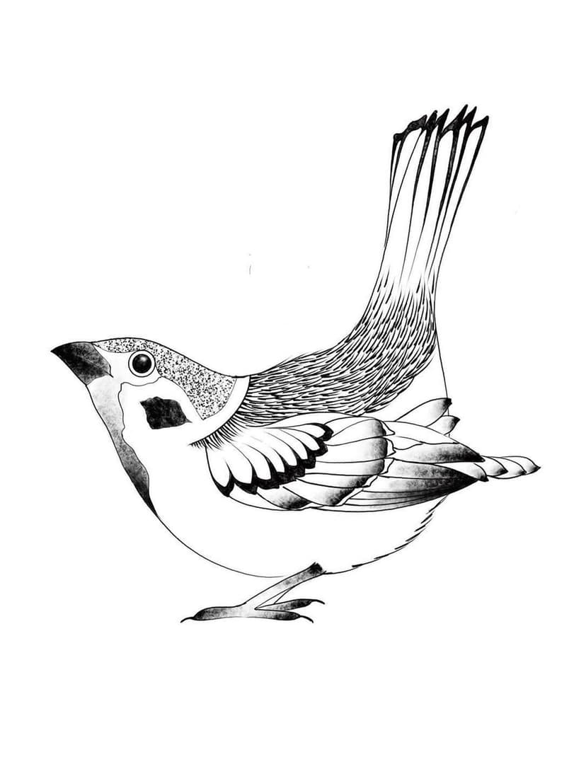 Tatouage de Noire de Ligne