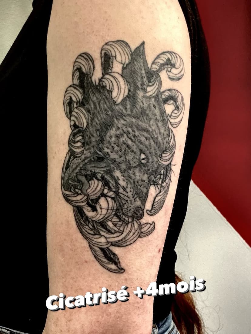 Tatouage de Mel'Inkorps