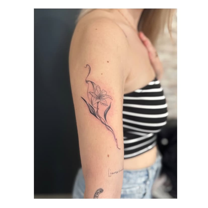 Tatouage de Salon de Tatouage Johanne Bonifas