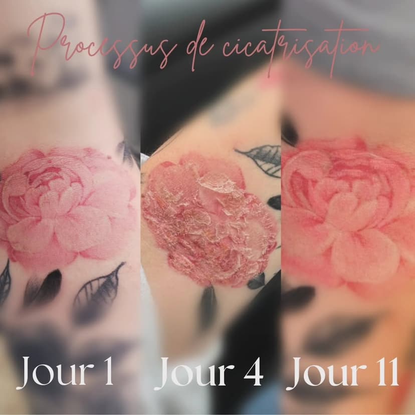 Tatouage de Skink tattoo