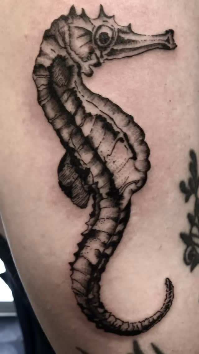 Tatouage de Stella Jungle Tattoo - Salon de tatouage à Tours