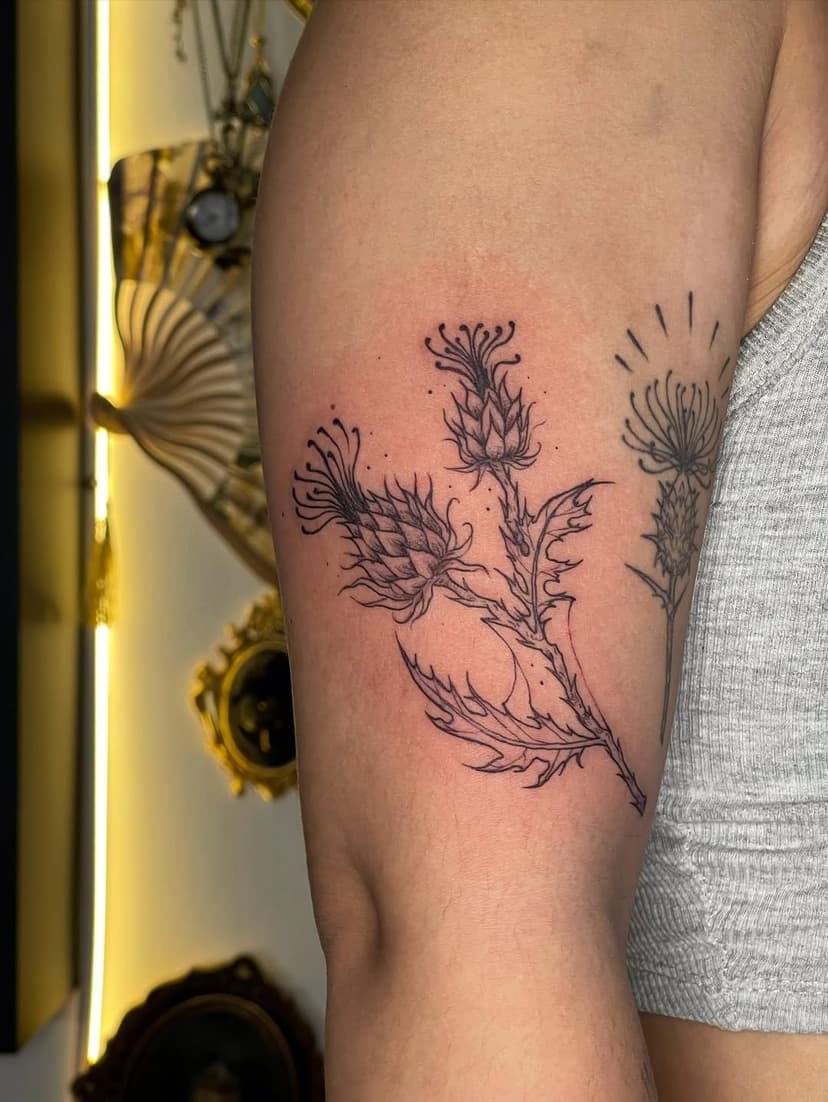 Tatouage de Tattoo studio Artnocturne