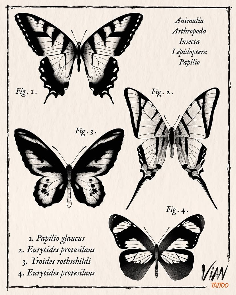 Tatouage de Vian tattoo