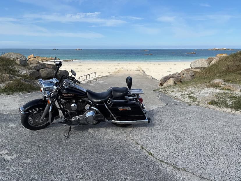 Tatouage de Dom Tattoo