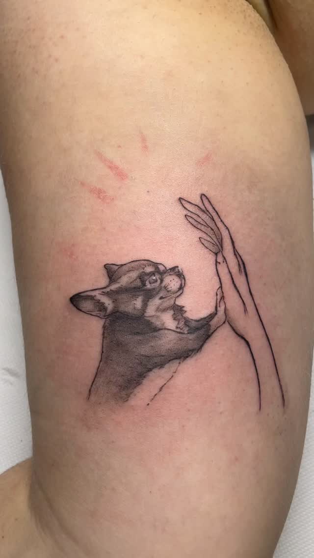 Tatouage de MUCHA MUSHU TATTOO