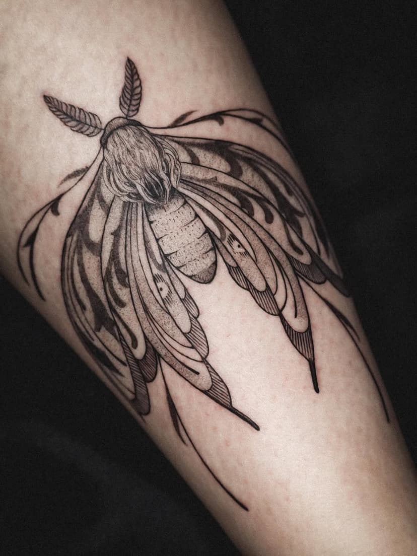 Tatouage de Grive Atelier ( Namuly Tattoo )