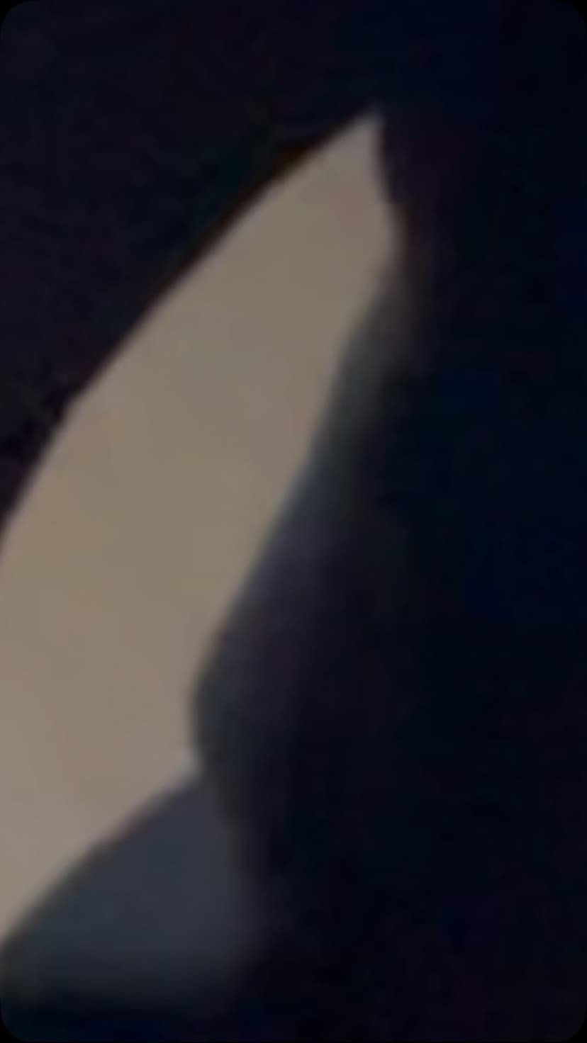 Tatouage de JP tattoo Rennes